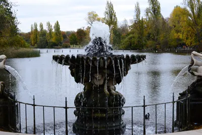 DSC_0564 (Large).JPG